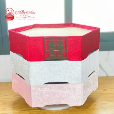 Tráp Đôn Cưới Hỏi Dạm Ngõ Bọc Nhung - Mâm Trầu Cau - Trái Cây - Bánh kẹo